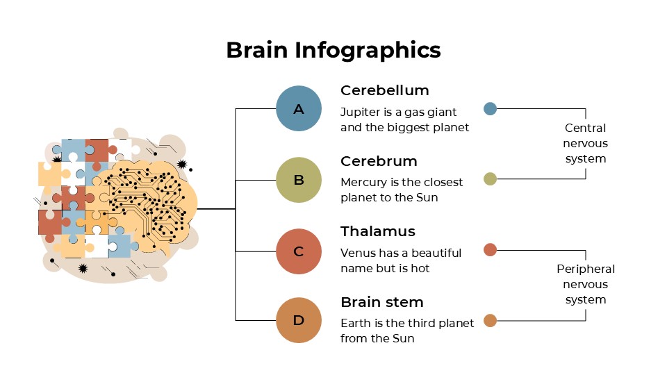 Free Minimalist Brain Infographics For Powerpoint And Google Slides 8
