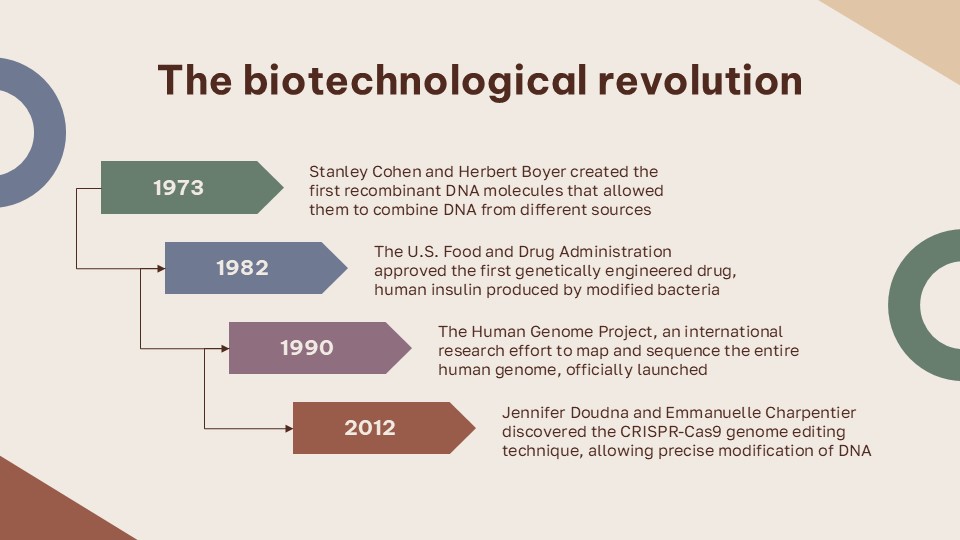 Free Timeline Slide Template For Powerpoint And Google Slides 7