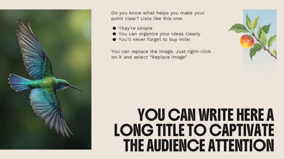 The World Of Birds Presentation Template 3