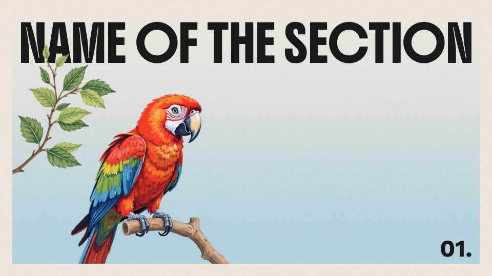 The World Of Birds Presentation Template 4