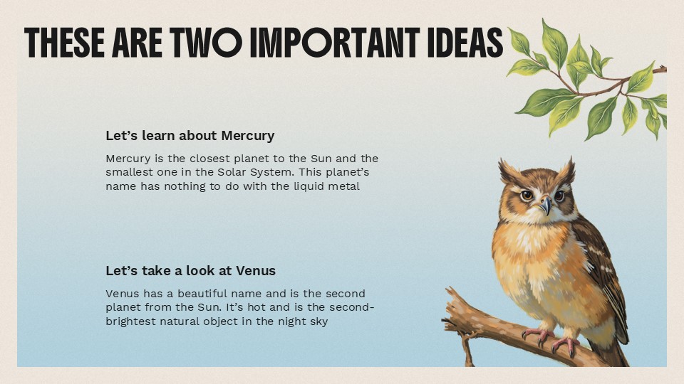 The World Of Birds Presentation Template 6