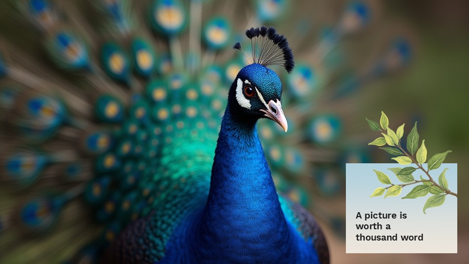 The World Of Birds Presentation Template 9