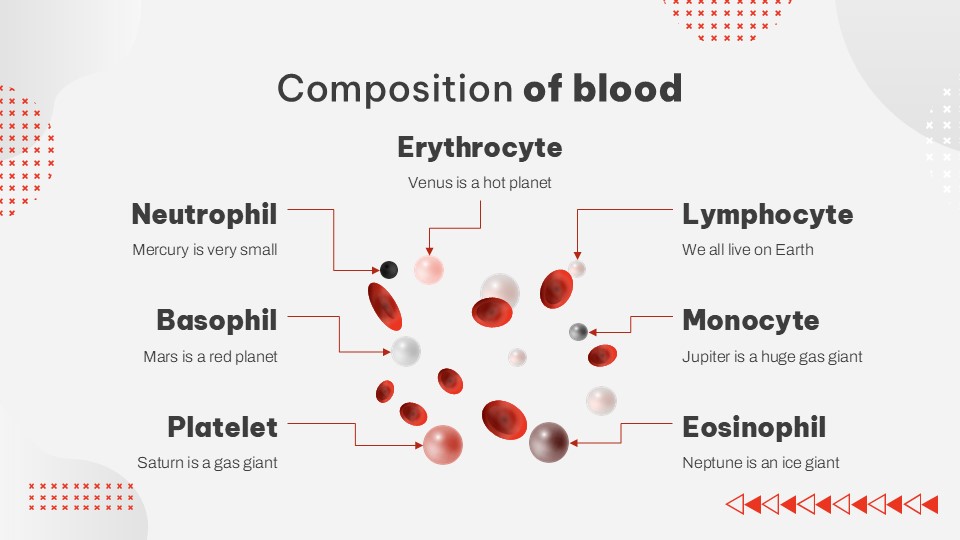 White Blood Cells And The Body's Defense Presentation Theme 30