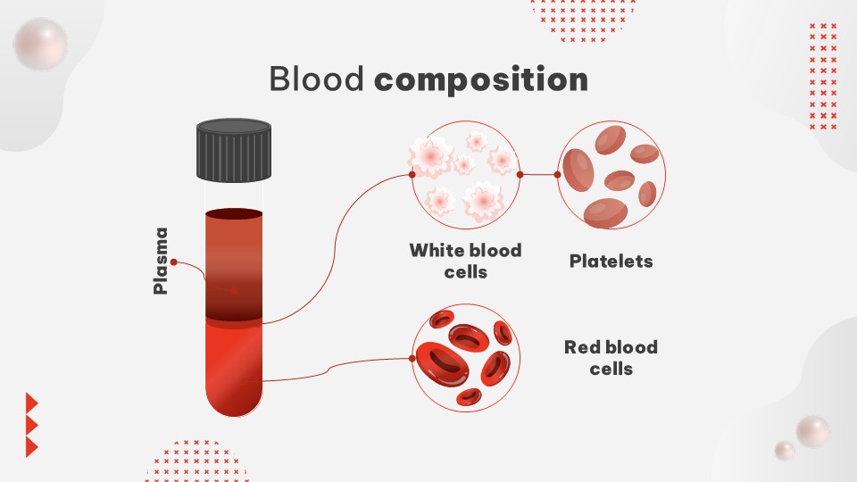 White Blood Cells And The Body's Defense Presentation Theme 33