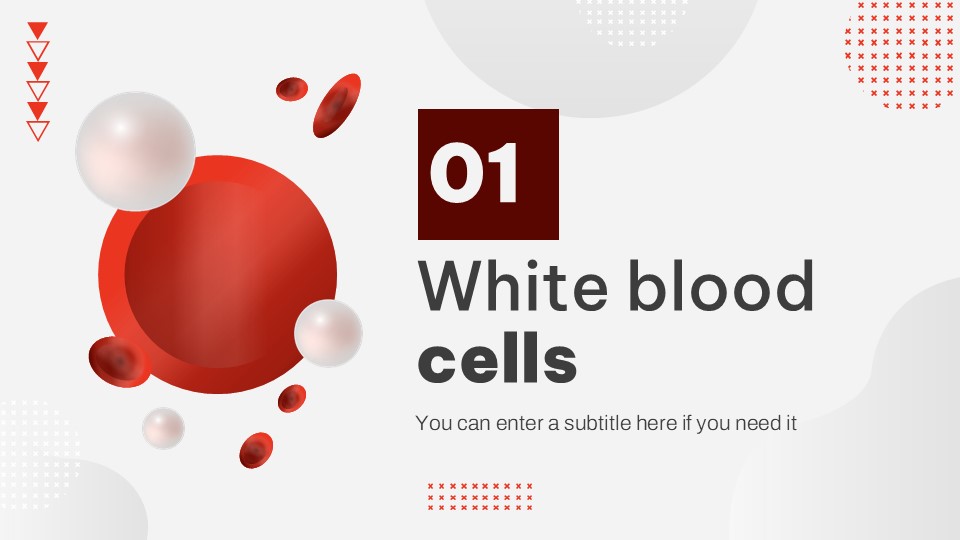 White Blood Cells And The Body's Defense Presentation Theme 4