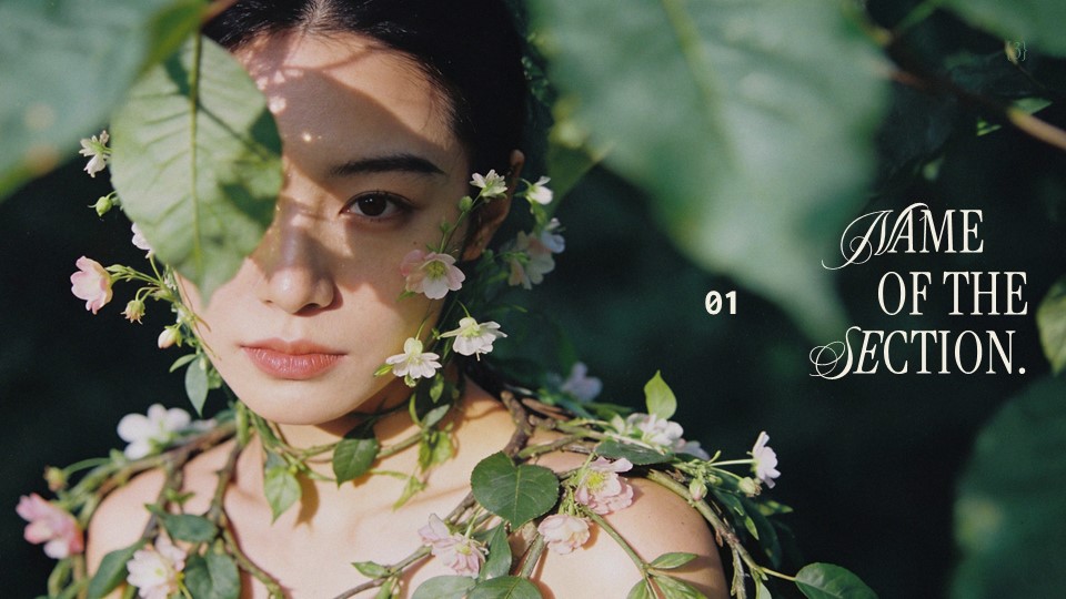 Free Botanical Aesthetic Presentation Theme 3