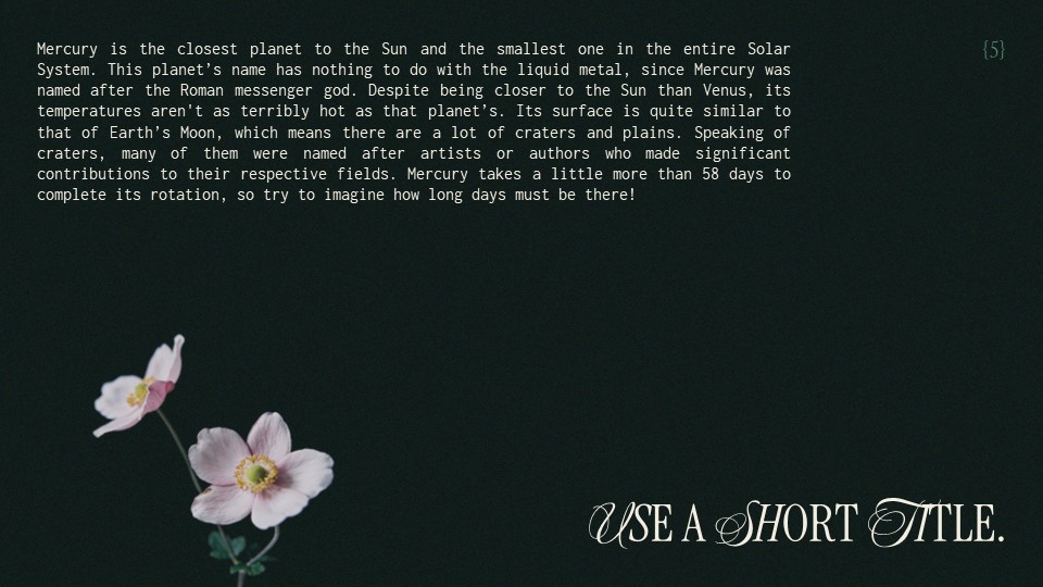 Free Botanical Aesthetic Presentation Theme 5