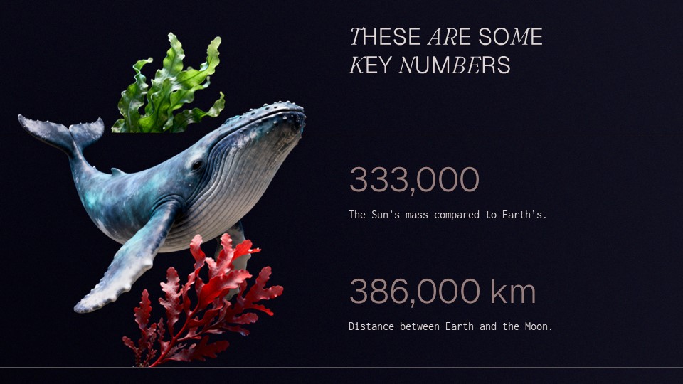 Free Ocean Conservation Presentation Theme 7