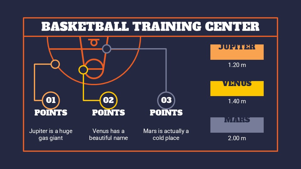 Basketball Training Center Infographics 16