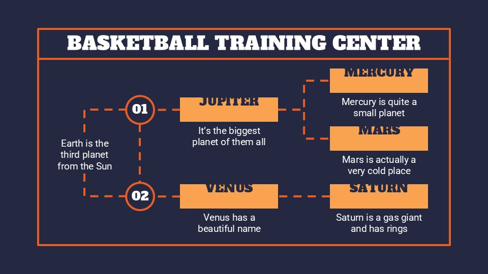 Basketball Training Center Infographics 9