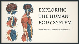 Free Exploring The Human Body System Presentation Theme 1