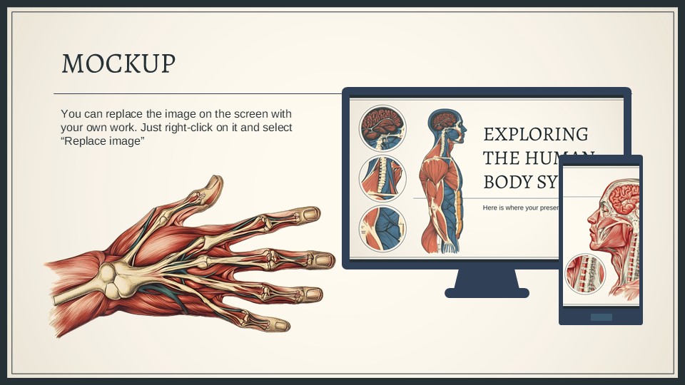 Free Exploring The Human Body System Presentation Theme 10