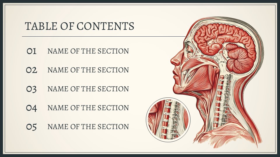 Free Exploring The Human Body System Presentation Theme 2