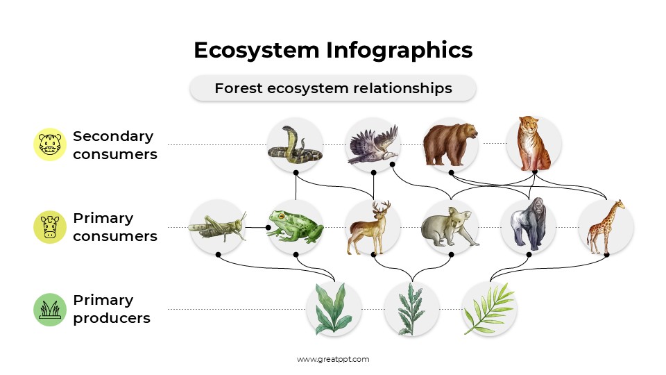 Free Ecosystem Infographics 12