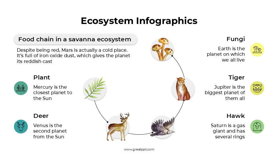 Free Ecosystem Infographics 3
