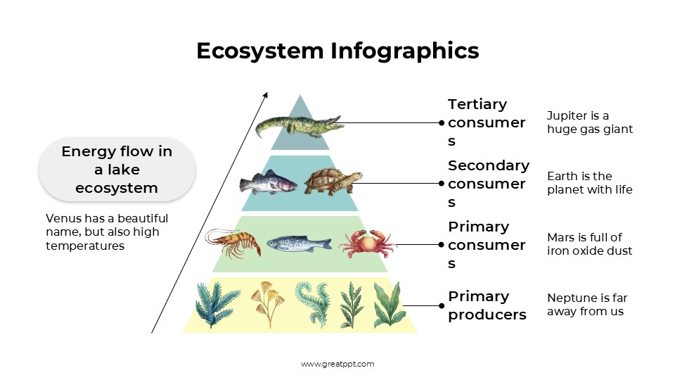Free Ecosystem Infographics 7