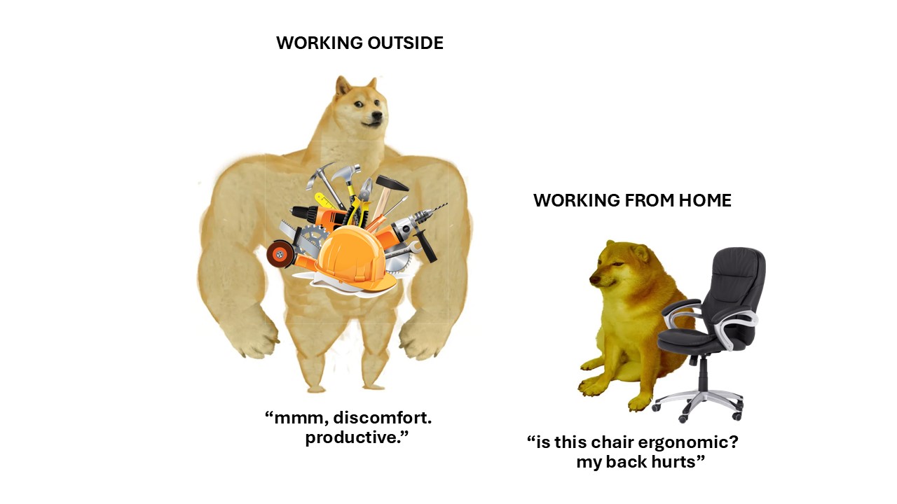Free Swole Doge Meme Presentation 3