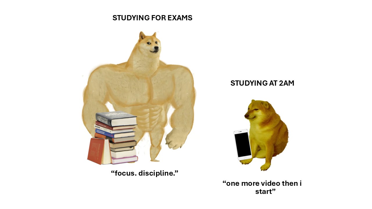 Free Swole Doge Meme Presentation 4