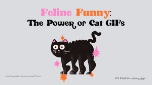 Cat Gif Meme Presentation 1