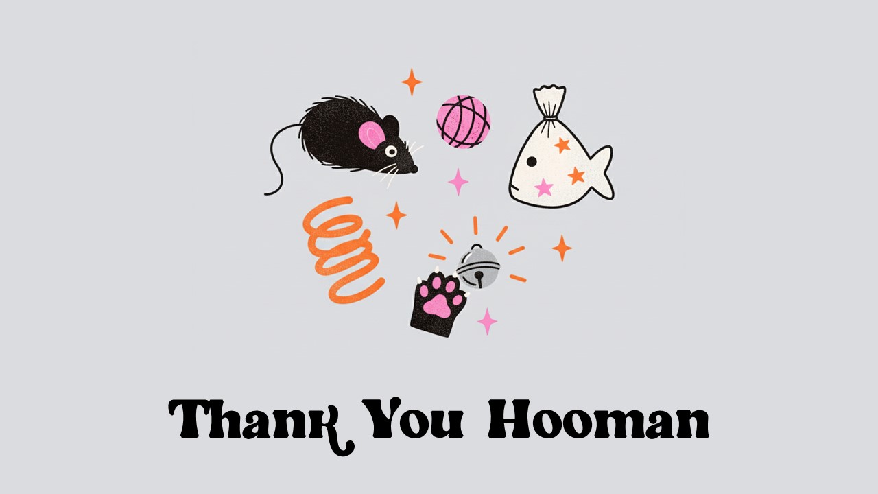 Cat Gif Meme Presentation 10