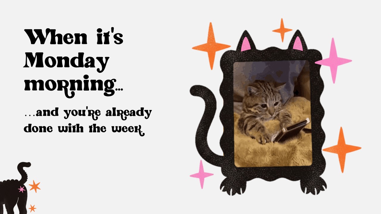 Cat Gif Meme Presentation 2