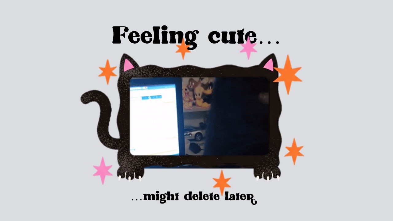 Cat Gif Meme Presentation 6