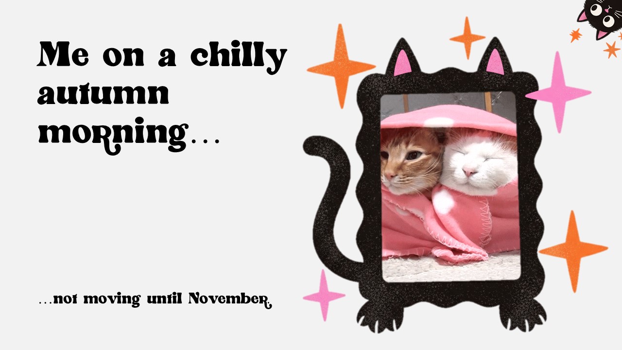 Cat Gif Meme Presentation 8