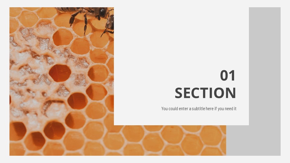 Free Management Consulting Presentation 4