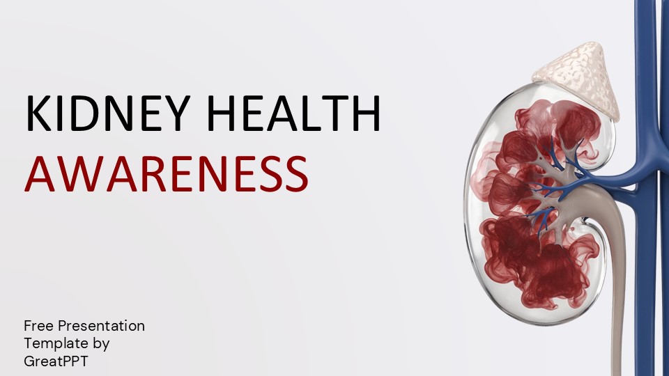 Kidney Health Awareness By Greatppt 1