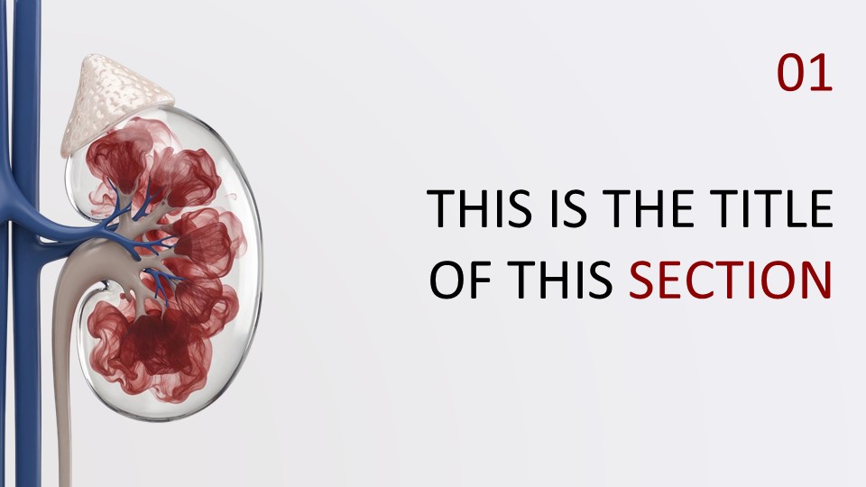 Kidney Health Awareness By Greatppt 4